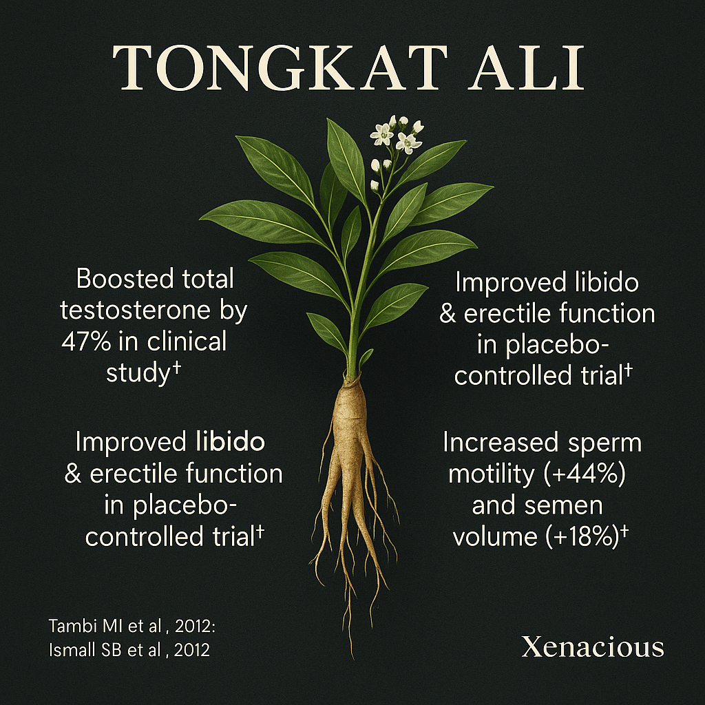 Tongkat Ali: The Vitality Booster