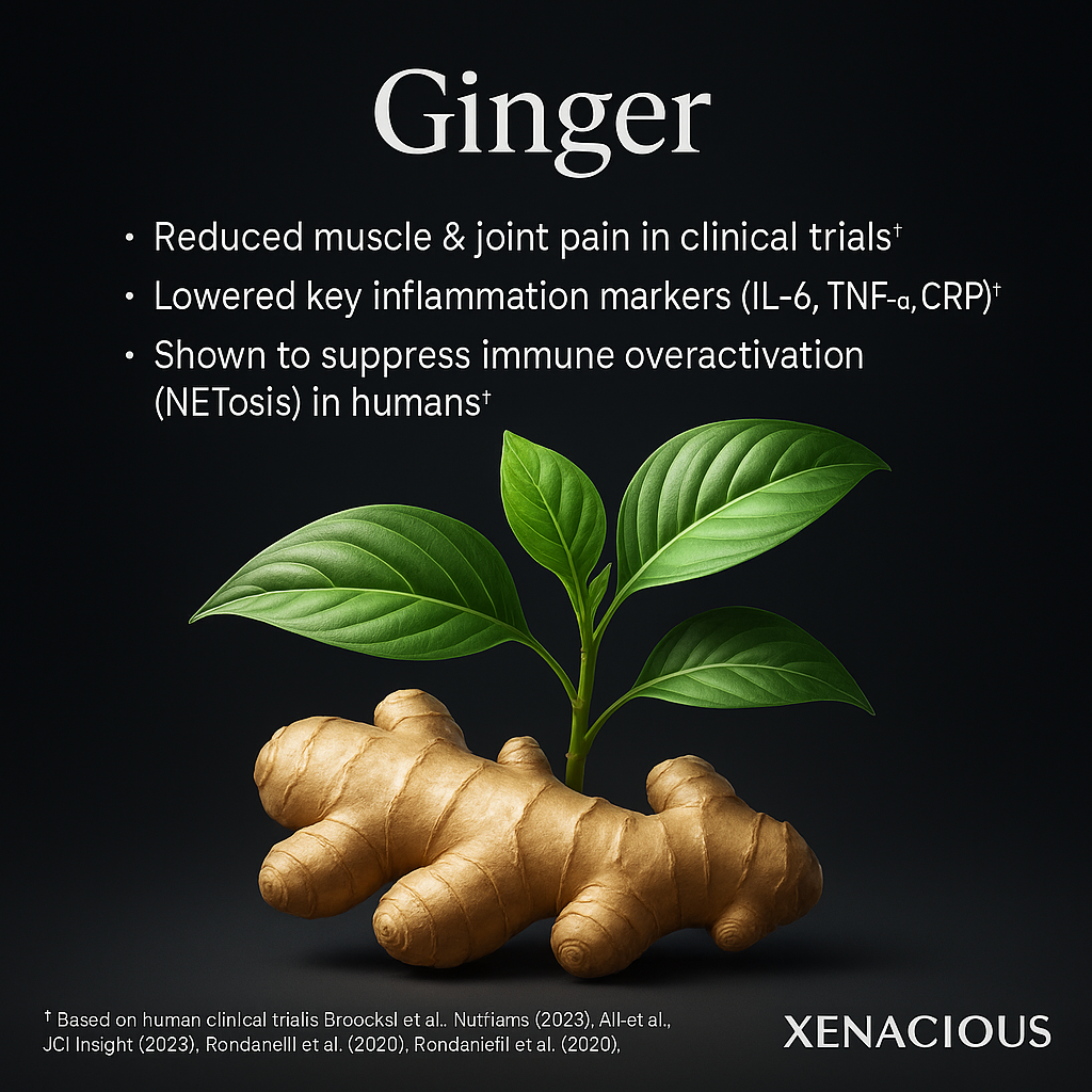 Ginger: The Fire Starter