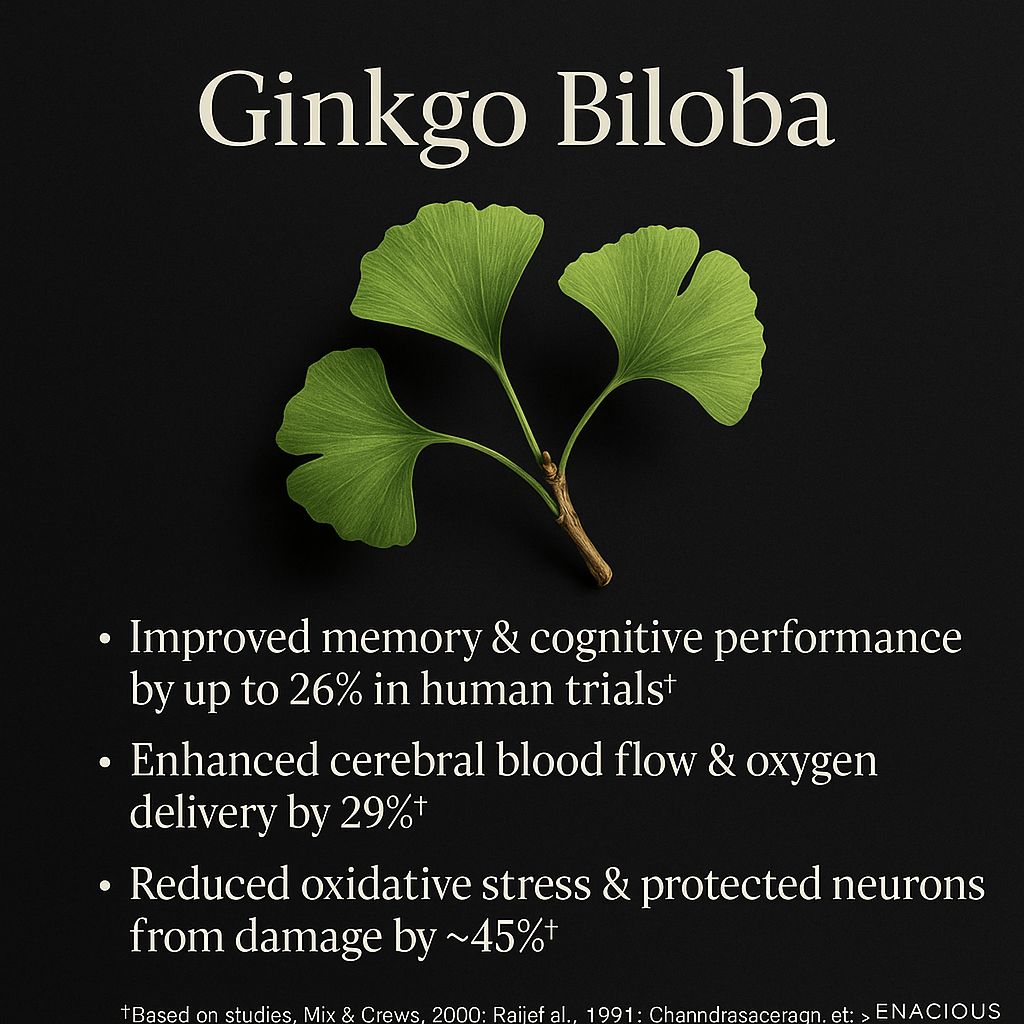 Ginkgo Biloba: The Mind’s Time Traveler