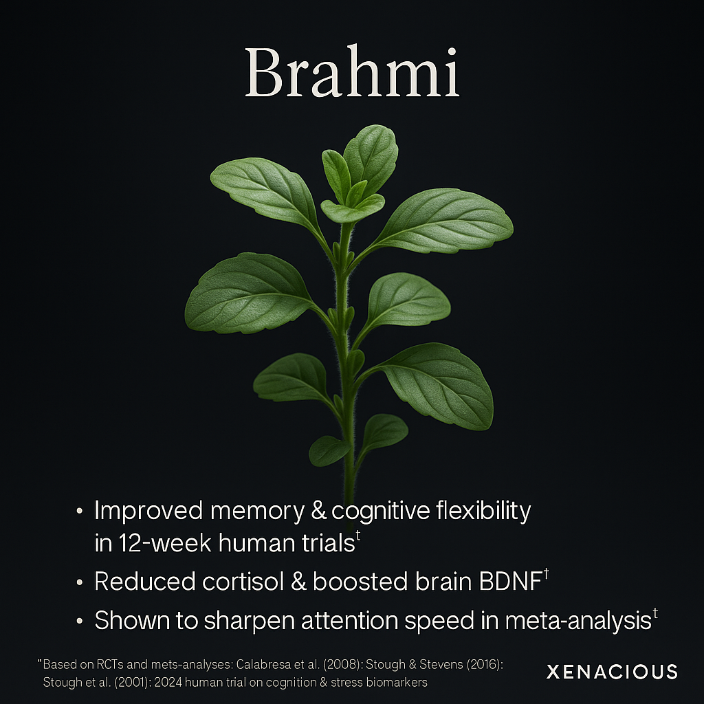 Brahmi: The Mind Illuminator