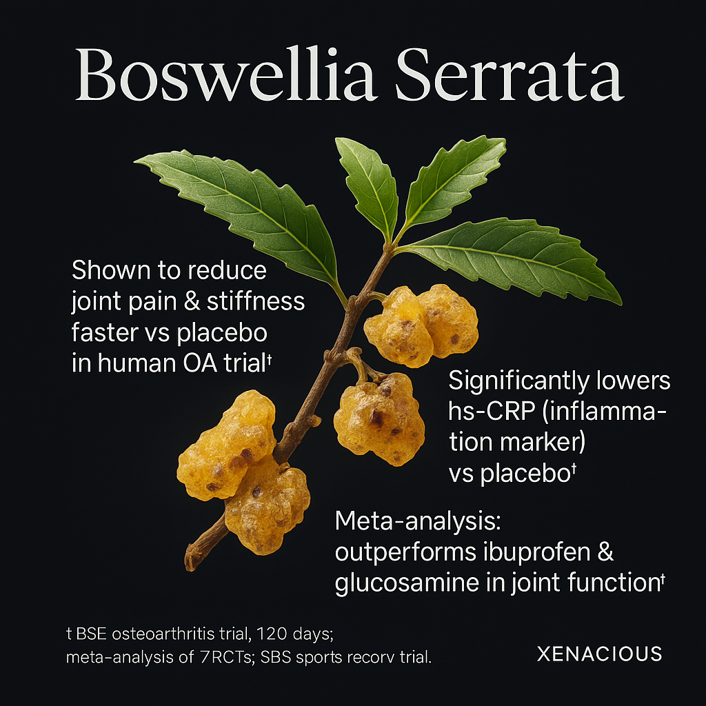Boswellia Serrata: The Joint Whisperer