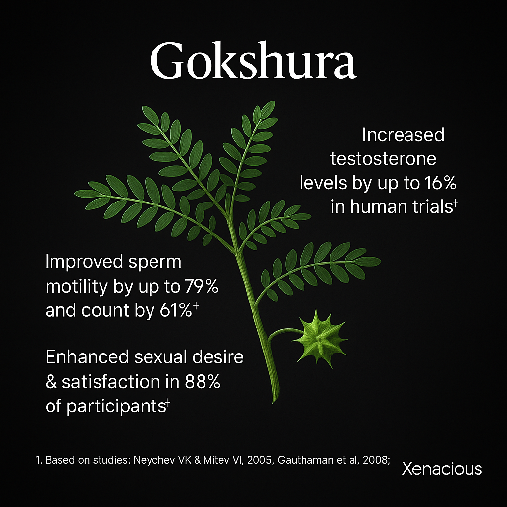 Gokshura: The Vitality Anchor