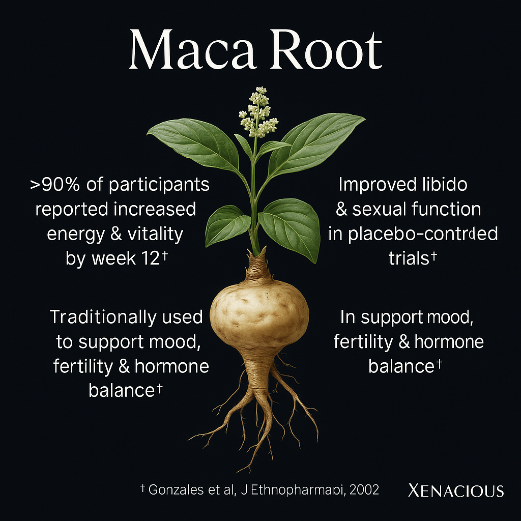 Maca Root: The Andean Energizer