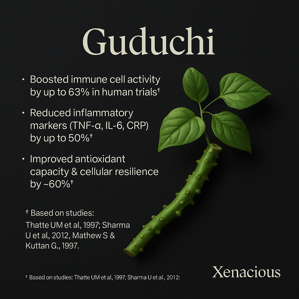 Guduchi: The Life Shield