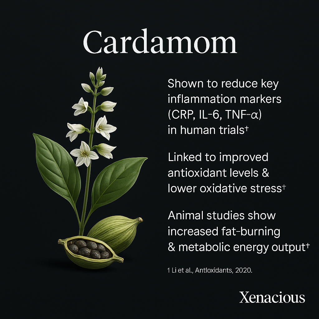 Cardamom: The Spice of Breath