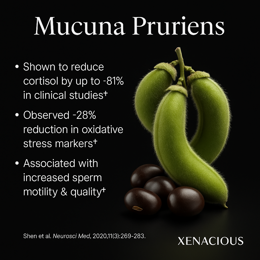 Mucuna Pruriens: The Dopamine Dynamo