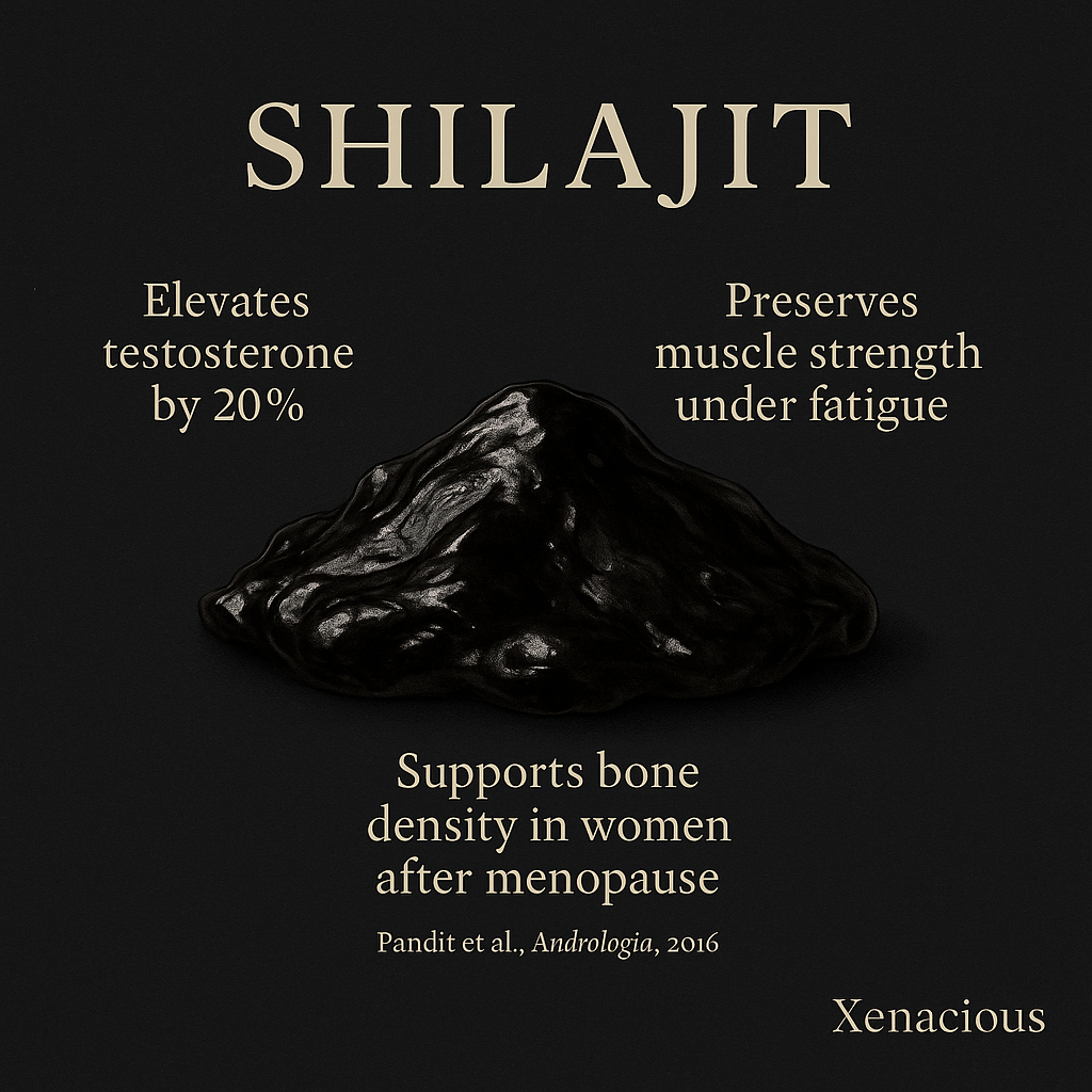 Shilajit: The Mountain Mojo